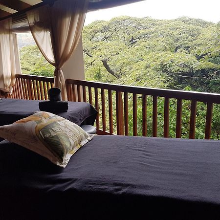 Honeywood Forest Lodge ميناء شيبستون المظهر الخارجي الصورة