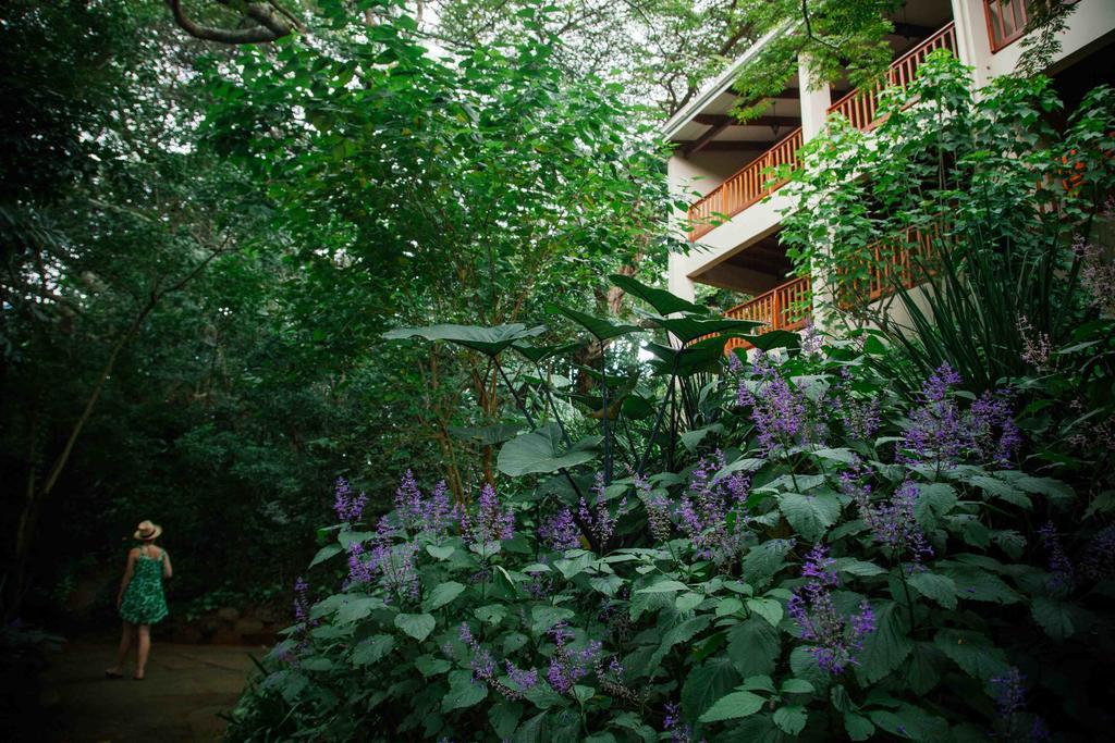 Honeywood Forest Lodge ميناء شيبستون المظهر الخارجي الصورة