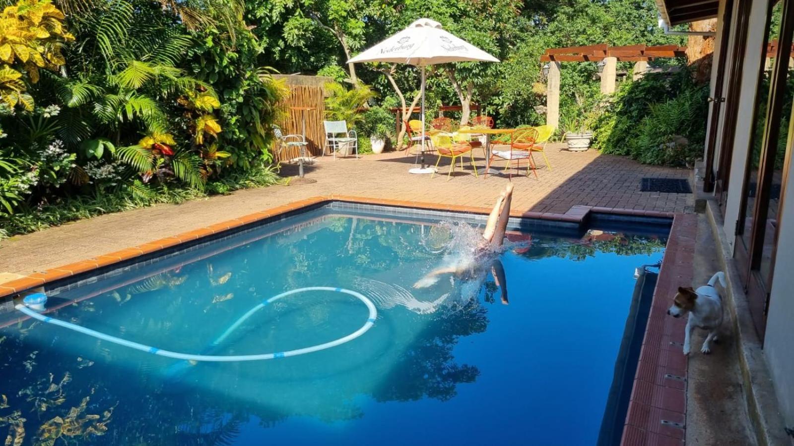Honeywood Forest Lodge ميناء شيبستون المظهر الخارجي الصورة