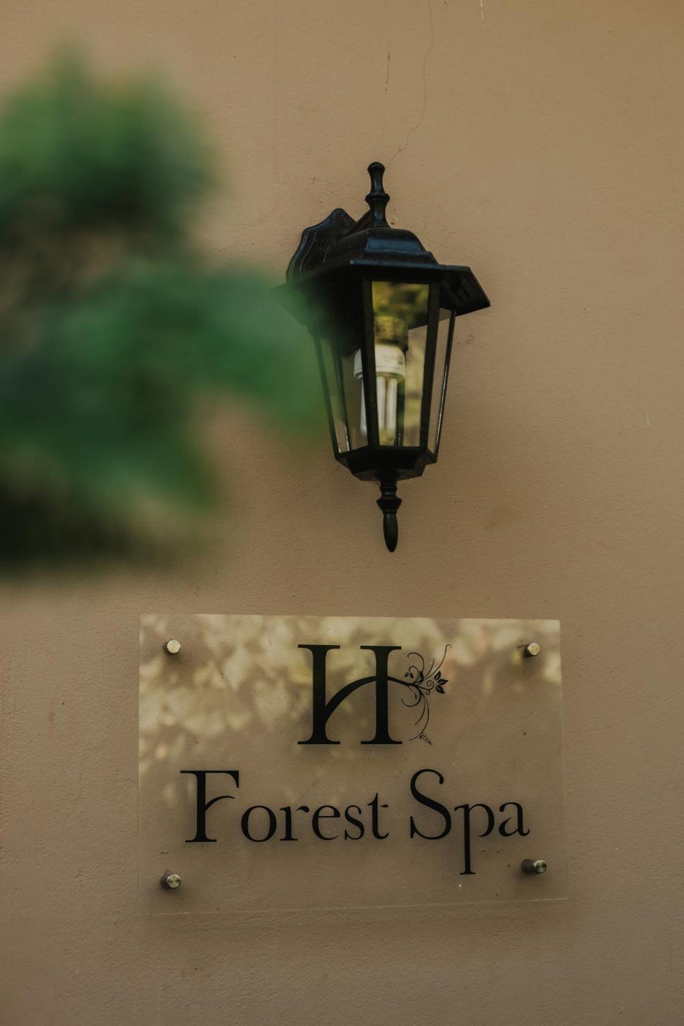 Honeywood Forest Lodge ميناء شيبستون المظهر الخارجي الصورة