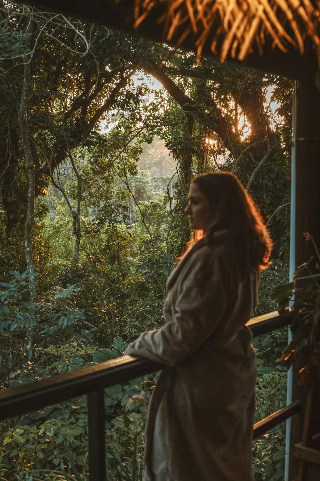 Honeywood Forest Lodge ميناء شيبستون المظهر الخارجي الصورة