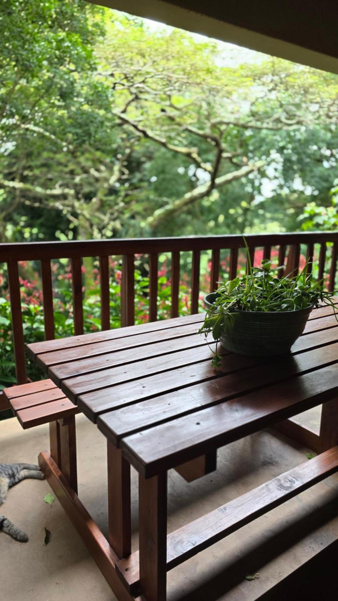 Honeywood Forest Lodge ميناء شيبستون المظهر الخارجي الصورة